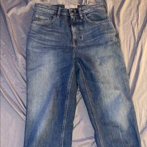 Everlane High Rise Blue Jeans with Vintage Appeal